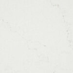 515_Palm Shade